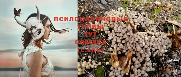 МДМА Белокуриха