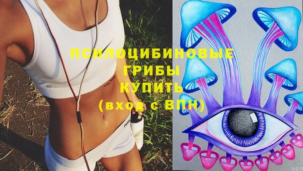 спиды Беломорск