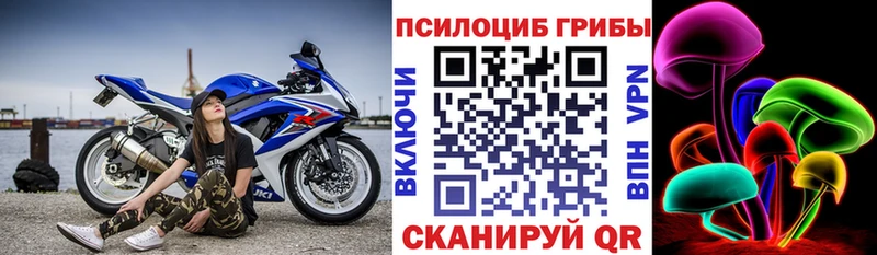 Галлюциногенные грибы ЛСД  Высоцк 